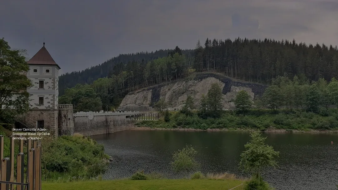 Beaver Damzilla: A Geo-Ecological Wake-Up Call – Seriously, *Dekho*!